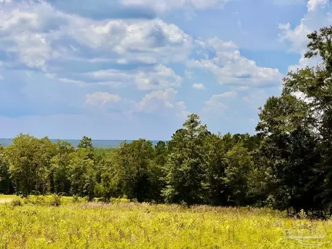 lot38 Br Buffalo Ridge Rd, Pace, FL 32571 photo 6