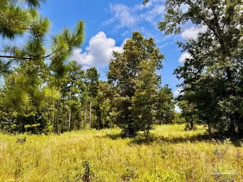 lot38 Br Buffalo Ridge Rd, Pace, FL 32571 photo 20