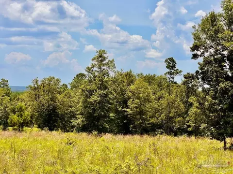 lot38 Br Buffalo Ridge Rd, Pace, FL 32571 photo 13