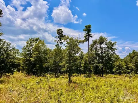 lot38 Br Buffalo Ridge Rd, Pace, FL 32571 photo 24