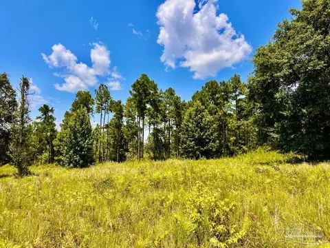 lot38 Br Buffalo Ridge Rd, Pace, FL 32571 photo 15