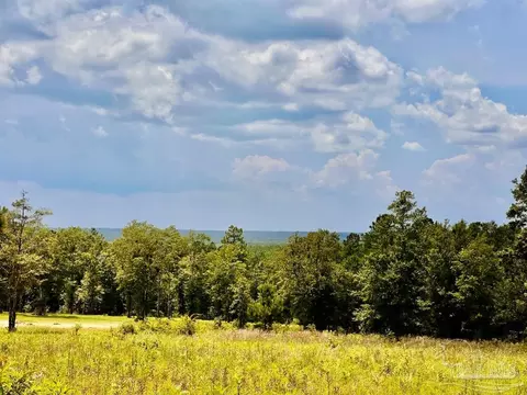 lot38 Br Buffalo Ridge Rd, Pace, FL 32571 photo 5