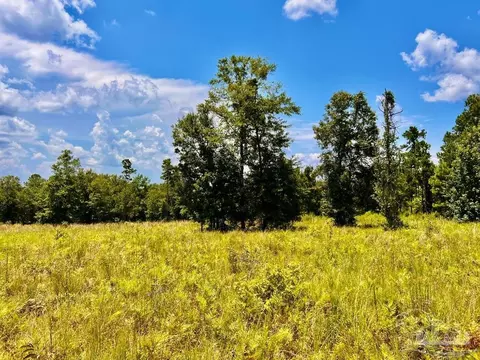 lot38 Br Buffalo Ridge Rd, Pace, FL 32571 photo 16