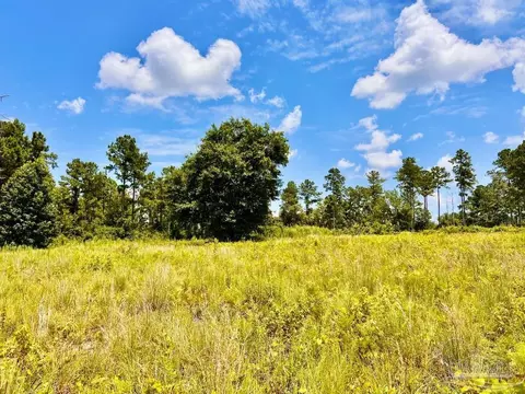 lot38 Br Buffalo Ridge Rd, Pace, FL 32571 photo 17
