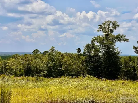 lot38 Br Buffalo Ridge Rd, Pace, FL 32571 photo 7