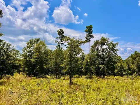 lot38 Br Buffalo Ridge Rd, Pace, FL 32571 photo 23