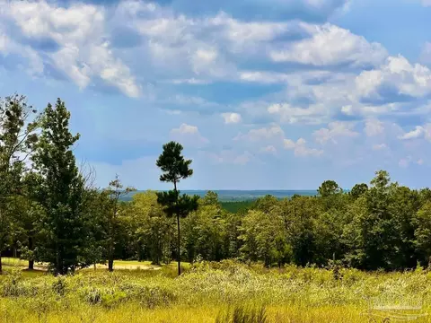 lot38 Br Buffalo Ridge Rd, Pace, FL 32571