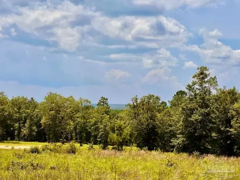 lot38 Br Buffalo Ridge Rd, Pace, FL 32571 photo 12