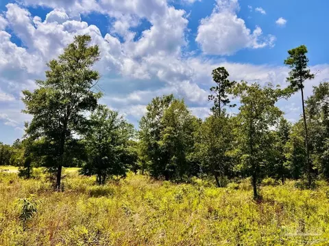 lot38 Br Buffalo Ridge Rd, Pace, FL 32571 photo 22