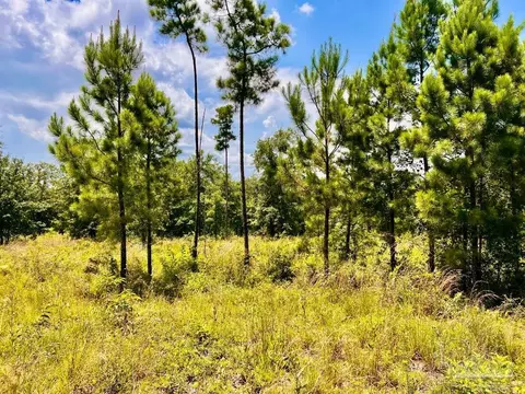 lot38 Br Buffalo Ridge Rd, Pace, FL 32571 photo 21