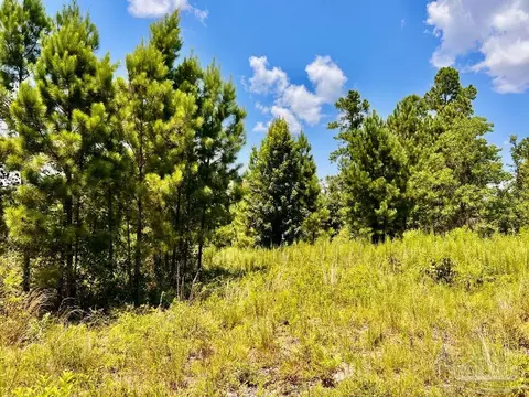 lot38 Br Buffalo Ridge Rd, Pace, FL 32571 photo 19