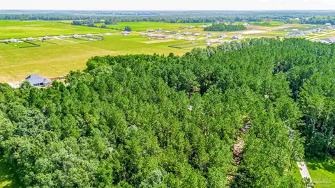 View/Area - 2581 Ten Mile Rd, Pace, FL 32571 photo 9 of 9
