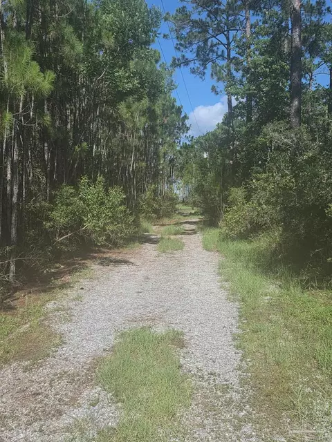 1301 Pearson Rd, Milton, FL 32583 photo 2