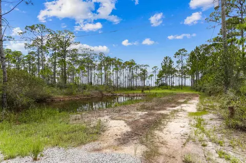 1301 Pearson Rd, Milton, FL 32583 photo 6