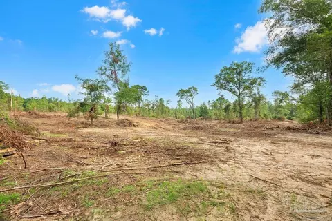 4700 Blk Hwy 99, Mcdavid, FL 32568 photo 4
