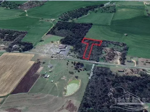 5800 Blk Arthur Brown Rd, Walnut Hill, FL 32568