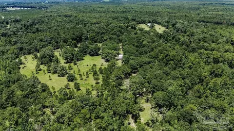 4156 James Jernigan Rd, Jay, FL 32565 photo 6