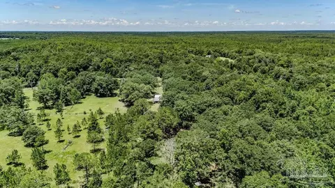 4156 James Jernigan Rd, Jay, FL 32565 photo 30