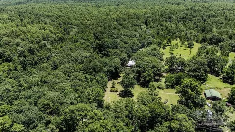 4156 James Jernigan Rd, Jay, FL 32565 photo 29