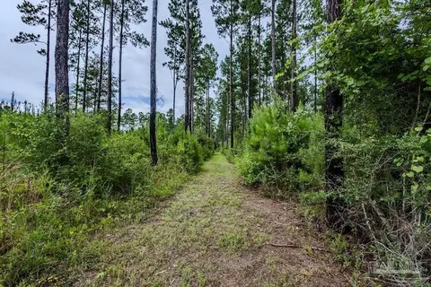 54 Sage Forest Ln, Pace, FL 32571 photo 4