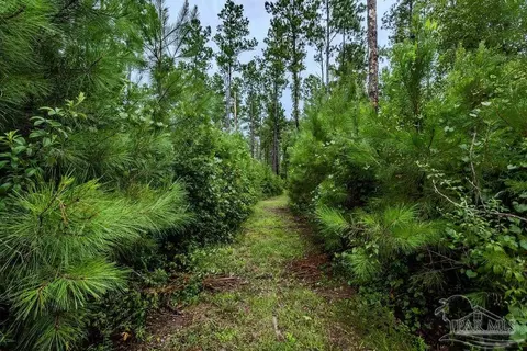 54 Sage Forest Ln, Pace, FL 32571 photo 3