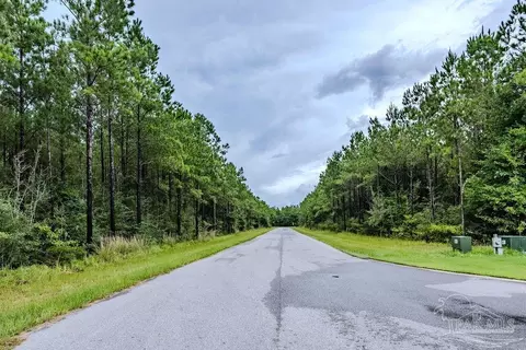 54 Sage Forest Ln, Pace, FL 32571 photo 5