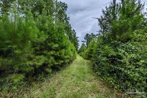 55 Sage Forest Ln, Pace, FL 32571 photo 38