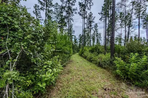 55 Sage Forest Ln, Pace, FL 32571 photo 8