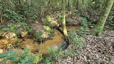 2561 Creek Chase Trl, Pace, FL 32571