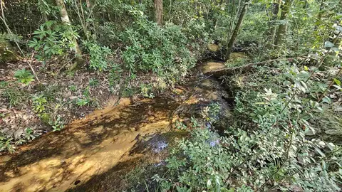2561 Creek Chase Trl, Pace, FL 32571 photo 7