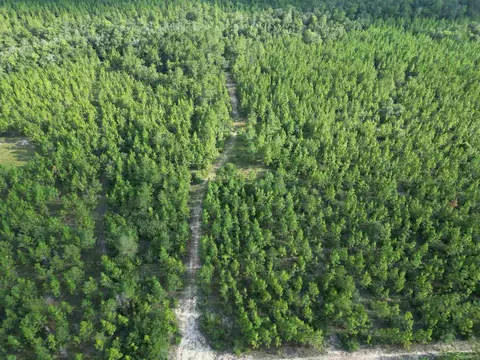 2561 Creek Chase Trl, Pace, FL 32571 photo 21