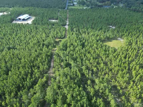 2561 Creek Chase Trl, Pace, FL 32571 photo 19