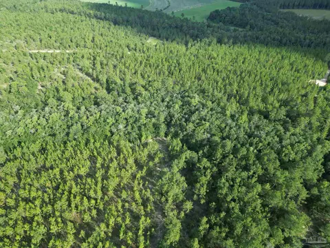 2561 Creek Chase Trl, Pace, FL 32571 photo 18