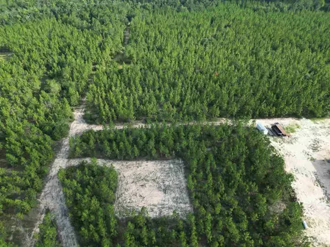 2561 Creek Chase Trl, Pace, FL 32571 photo 16