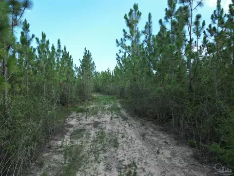 2561 Creek Chase Trl, Pace, FL 32571 photo 13