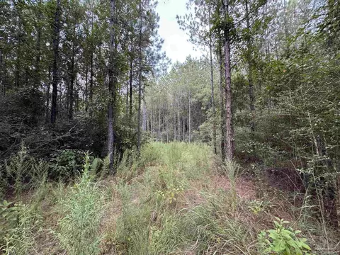 000 Indian Ford Rd, Milton, FL 32570 photo 3