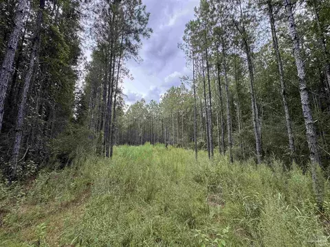 000 Indian Ford Rd, Milton, FL 32570 photo 4