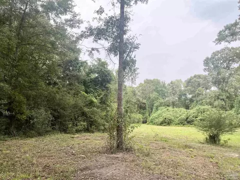 4599 Brushy Creek Rd, Range, AL 36473 photo 10