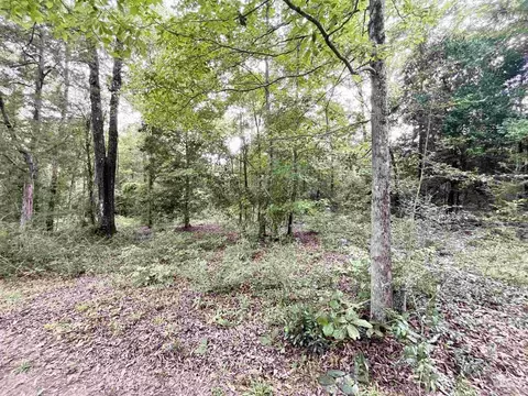 4599 Brushy Creek Rd, Range, AL 36473 photo 9