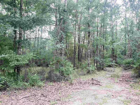 4599 Brushy Creek Rd, Range, AL 36473 photo 7