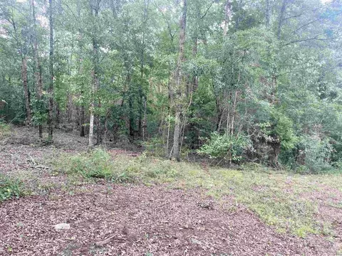 4599 Brushy Creek Rd, Range, AL 36473 photo 5