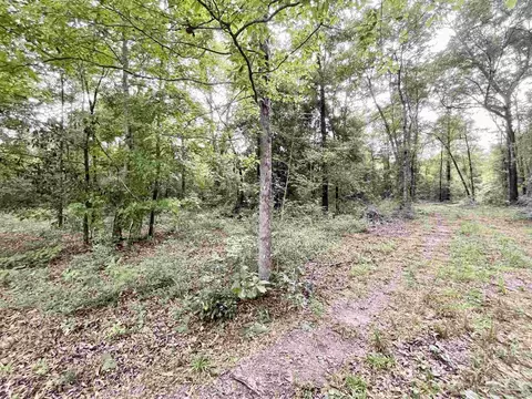 4599 Brushy Creek Rd, Range, AL 36473 photo 8