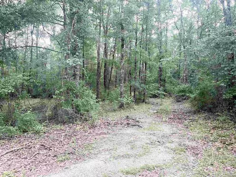 4599 Brushy Creek Rd, Range, AL 36473 photo 11