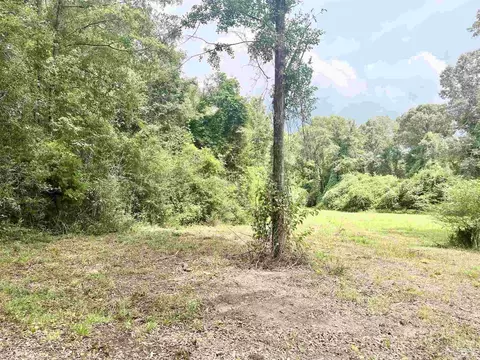 4599 Brushy Creek Rd, Range, AL 36473 photo 4