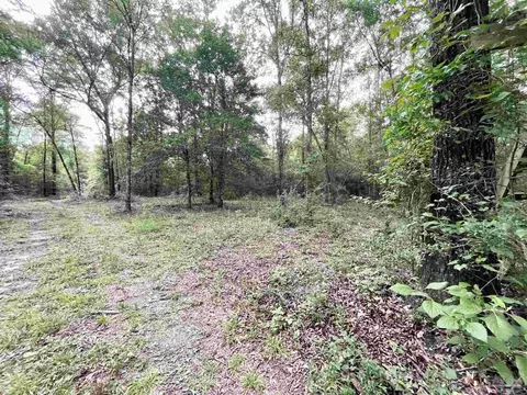 4599 Brushy Creek Rd, Range, AL 36473