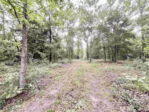 4599 Brushy Creek Rd, Range, AL 36473 photo 12