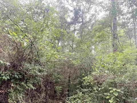 4599 Brushy Creek Rd, Range, AL 36473 photo 13