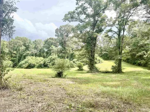 4599 Brushy Creek Rd, Range, AL 36473 photo 2