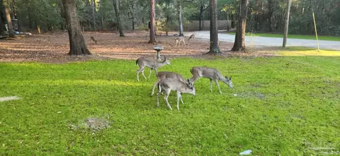 6751 Deception Rd, Milton, FL 32583 photo 66