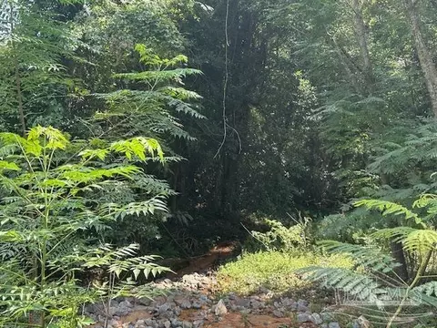 Other - 3090 Hwy 4, Jay, FL 32565 photo 2 of 5